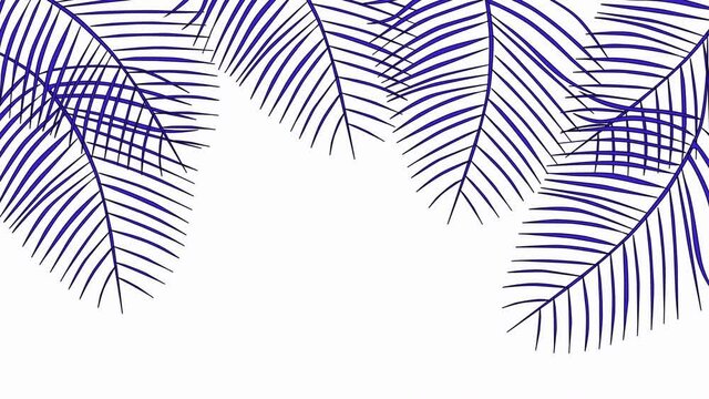 Coconut palm leaves, tropical summer frame and floral background animation. Seamless loop. Luma matte. Golden violet branches.