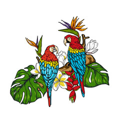 Harlequin Macaw with tropical leaves and flowers.Bird vector hand draw.Tattoo art.Illustration clip art.Graphic print on t-shirt	