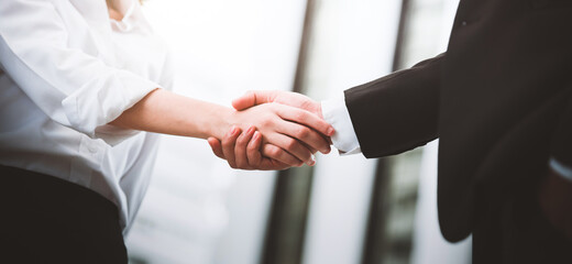 Businessman and businesswoman shake hands and agree to work together on business interests.