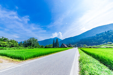 夏の白川郷もいいもんだ。