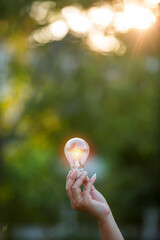 light bulb against nature, icons