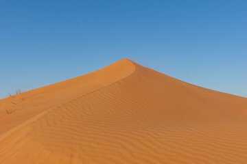 Fototapeta na wymiar Sand dune peak ridge and desert sand textured and patterned making spectacular changing shapes. United Arab Emirates or Sahara Desert Concept.