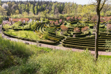 view of the park in the form of a labyrinth from a hedge during the flowering period