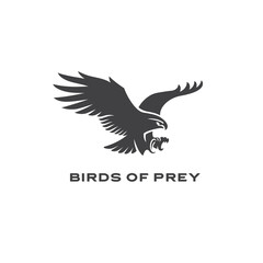 Bird of prey logo