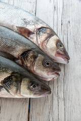 Sea bass with white background