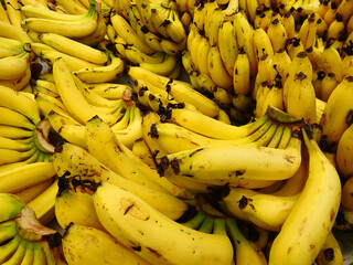 many bright yellow ripe banana