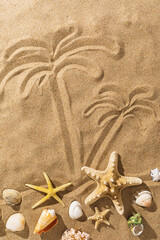 Fototapeta na wymiar Palm trees painted on the sand and various seashells on a sunny day, summer background