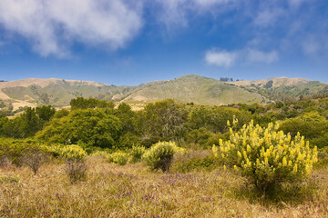 Hiking in the spring to Andrew Molera state beach in Big Sur