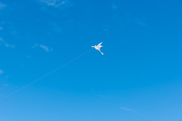 Colorful Kites flying over the sky