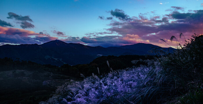 Inzucht Bilder Durchsuchen 4,802 Archivfotos, und