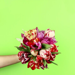 Hand with a bouquet of beautiful flowers on a green background
