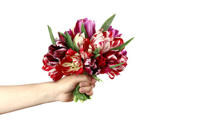 Hand with a bouquet of beautiful tulips isolated on white