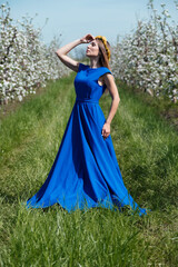 Obraz na płótnie Canvas Girl in a blue dress in an apple orchard