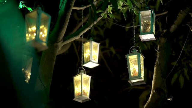 Lantern lights hanging on natural green light at night. Bright Ramadan candle lanterns handing on tree at night.