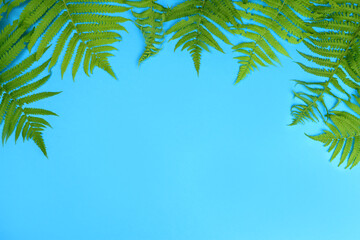 Fototapeta na wymiar Green leaf frame on blue background