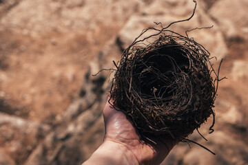 Male hand holding a fragile empty bird's nest, view from above on sunny day. Concept of empty nest...