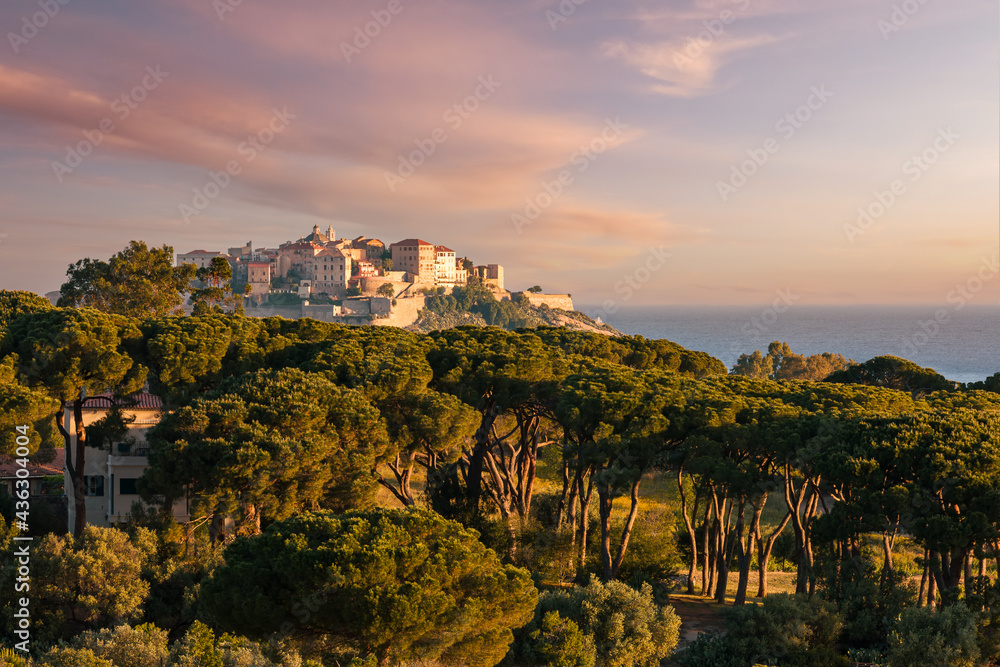 Wall mural citadel of calvi in balagne region of corsica