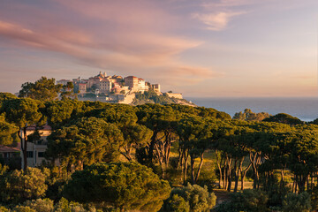 Citadel of Calvi in Balagne region of Corsica