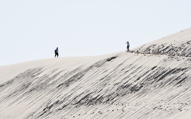 Le Monde vu depuis la dune du Pilat 
