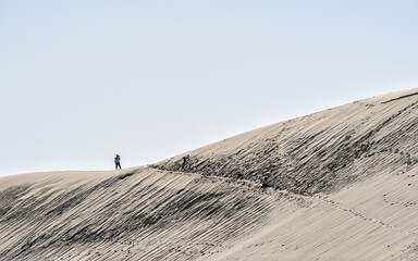 Fototapeta na wymiar Le Monde vu depuis la dune du Pilat 