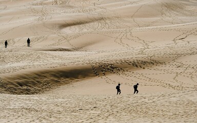 Le Monde vu depuis la dune du Pilat 