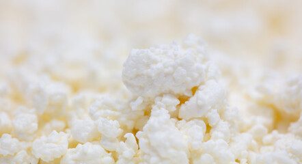 Fresh milk curd as background.