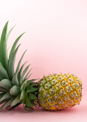 Fototapeta premium A pineapple on light pink background.