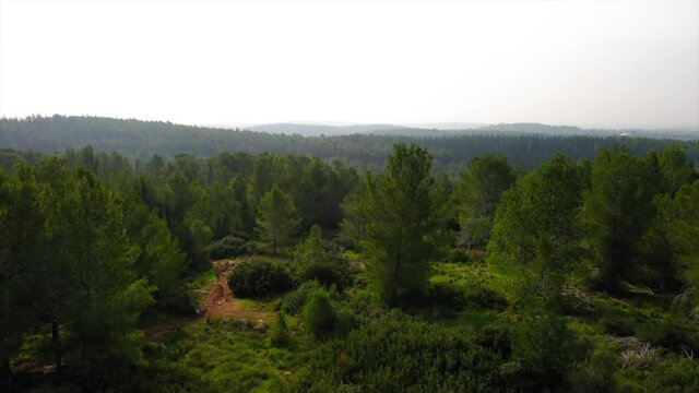 Aerial Shot Of Pagoda Against Clear Sky, Drone Flying Over Ben Shemen Forest