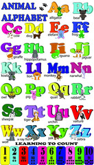 Animals aphabet