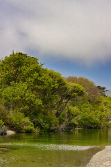 Hiking in the spring to Andrew Molera state beach in Big Sur