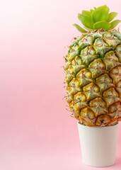 A pineapple on light pink background.