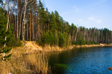 Obraz premium a picturesque forest lake in central Russia in early spring