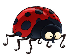 Red ladybug insect illustration