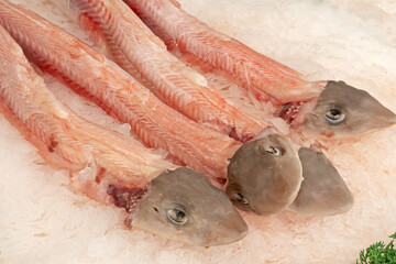 plusieurs roussettes nettoy&eacute;es sur de la glace