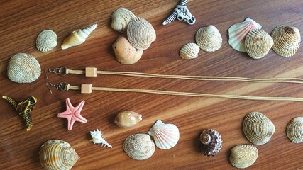 Fototapeta na wymiar Handmade earrings with shells an sea star decoration. Fashion jewelry photo.