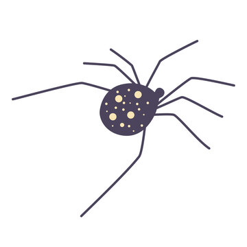 Vector cartoon spider. Scary with long paws. Design for Halloween. Flat cartoon vector illustration.