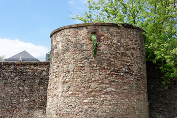 The medieval castle with wall next to the tree.
