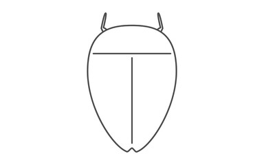 ゲンゴロウ、昆虫食で食べられる昆虫