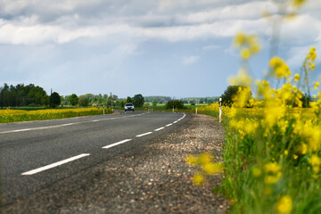 View to country road.