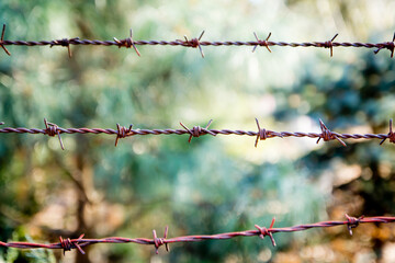 Barbed wire