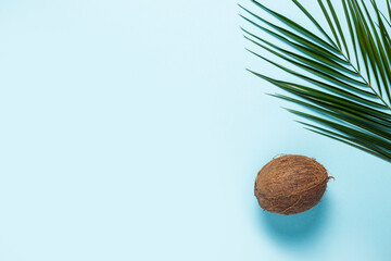 one whole coconut and palm leaf on a blue background. Top view, flat lay