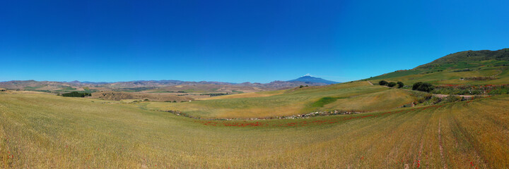 Fototapeta premium 180 degree saerial photo of the wheat fields in the heart of Sicily in the Erei mountains. Sicilian wheat cultivation. Small rural villages of Ramacca and Raddusa. Hay and grain. Etna view.