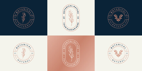 Set of luxury logo design template for branding, corporate identity