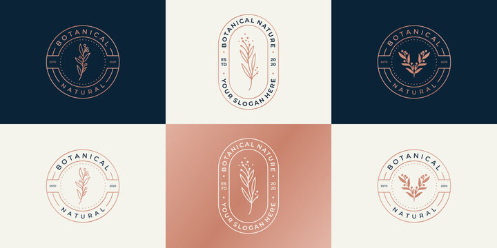 Set of luxury logo design template for branding, corporate identity