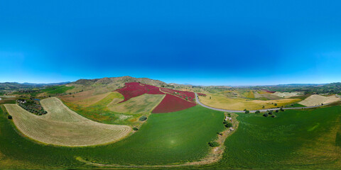 360 degree aerial photo of the red fields in the heart of Sicily in the Erei mountains. Sulla is a...