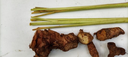 a collection of traditional Indonesian spices to make curry