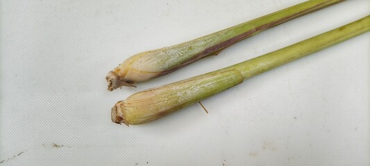 a collection of traditional Indonesian spices to make curry