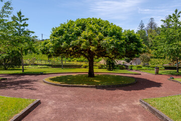 Landscape of Vila das Furnas - Azores