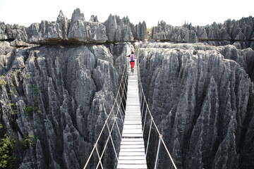 Suspension bridge at Tsingy de Bemaraha National Park, Madagascar