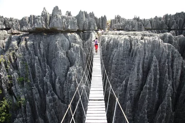 Foto op Canvas Suspension bridge at Tsingy de Bemaraha National Park, Madagascar © Takashi